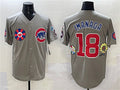 Custom #18 Gray 2025 CHC Baseball Shirt Top