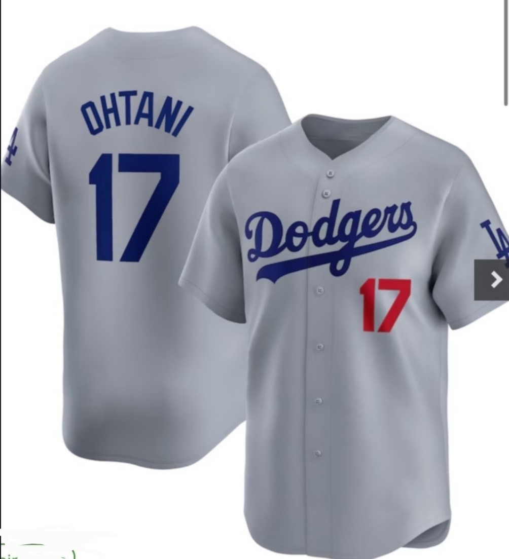 Custom #17 Gray LAD Baseball Shirt Top