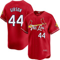 Custom #44 City Connect STL Baseball Shirt Top