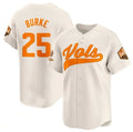 Custom #25 Cream 2024 College Shirt Top