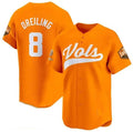 Custom #8 Orange 2024 Baseball Shirt Top